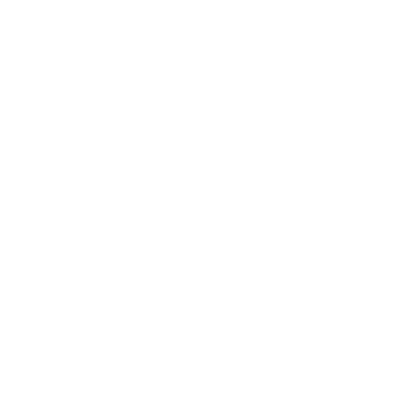 GeoSLAM logo (white)