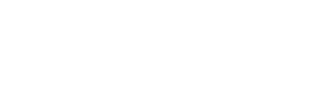 WordPress Website Design & Development